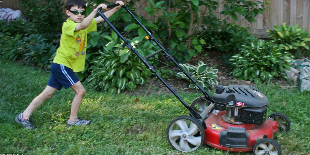 Well-maintained suburban lawn